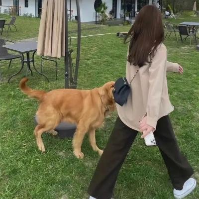 瘟家妹